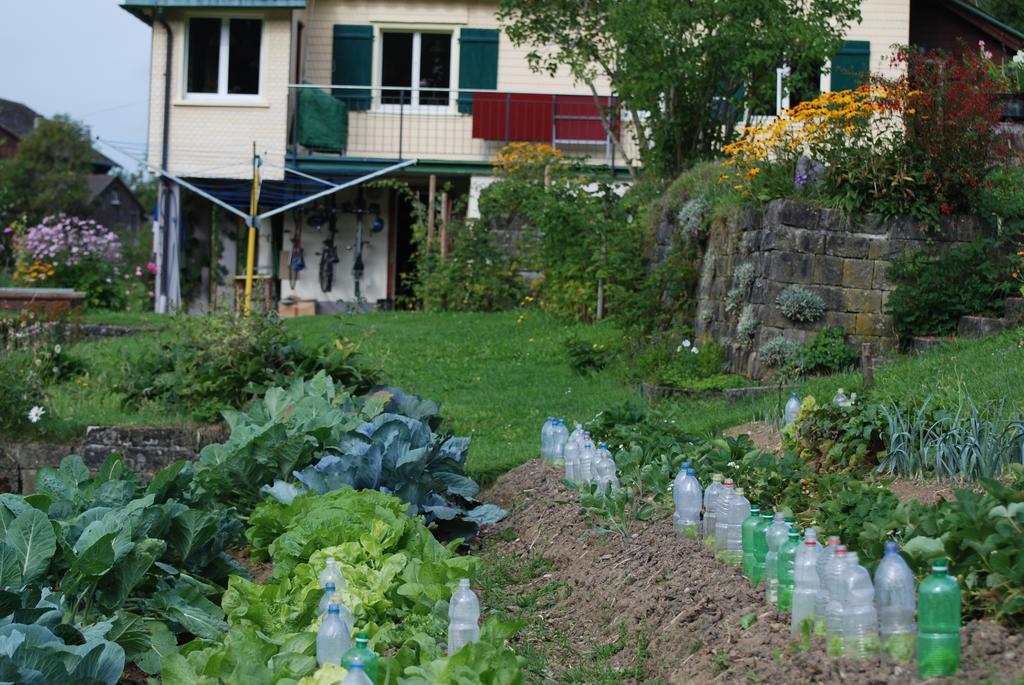 Sonnmatt Bergpension&Gesundheitszentrum Ebnat-Kappel Exterior foto